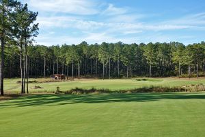 Tree Farm 11th Approach